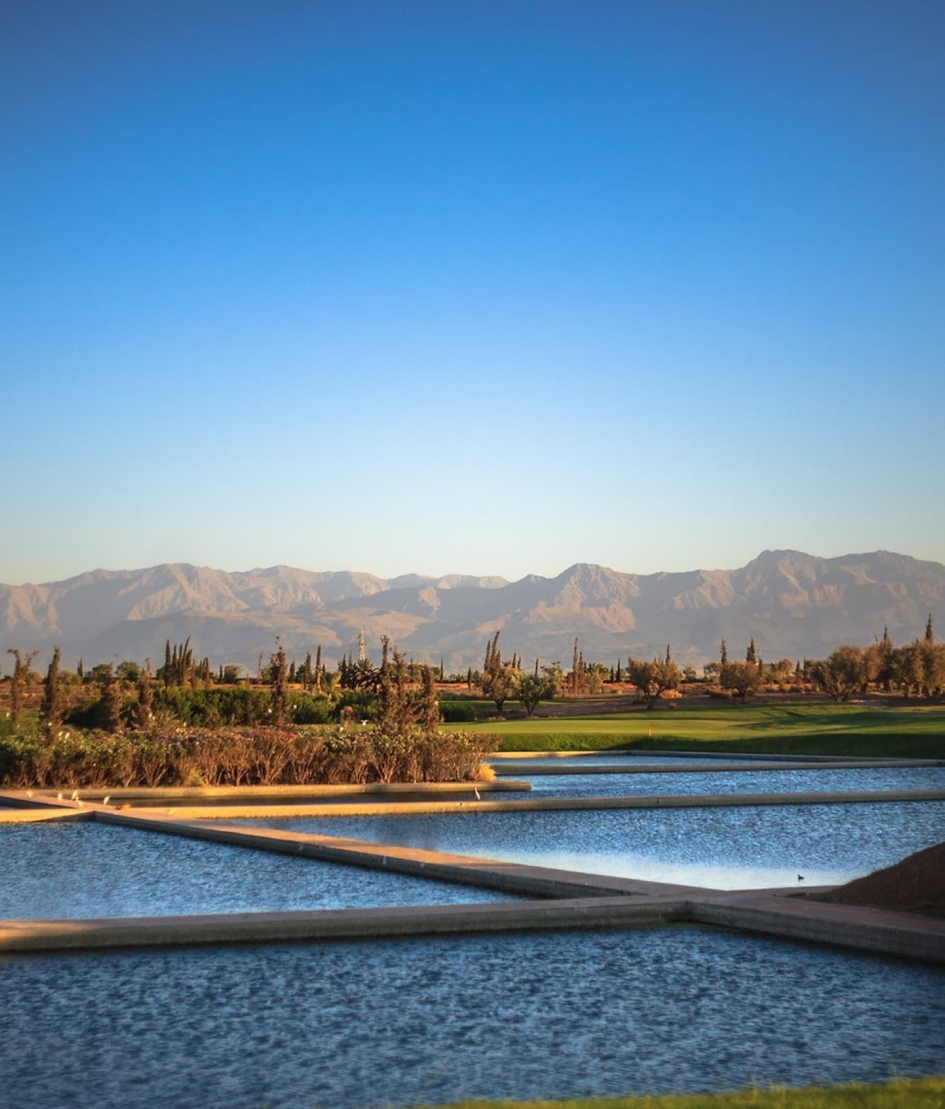 Al Maaden Golf