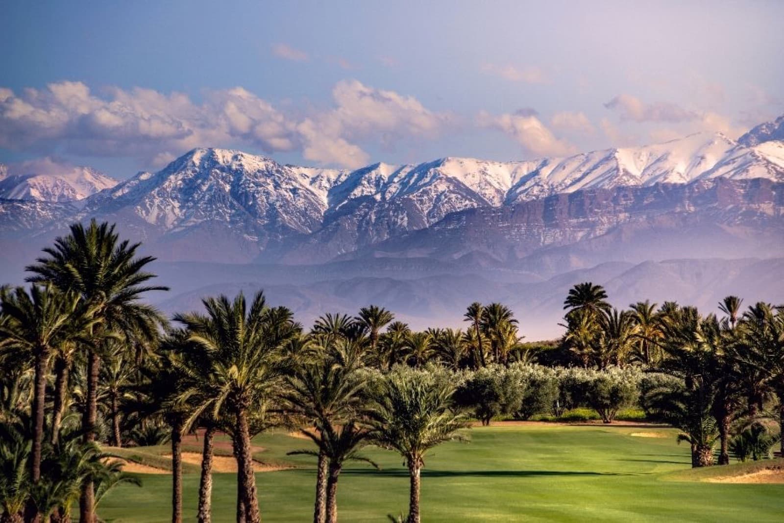 Assoufid Golf