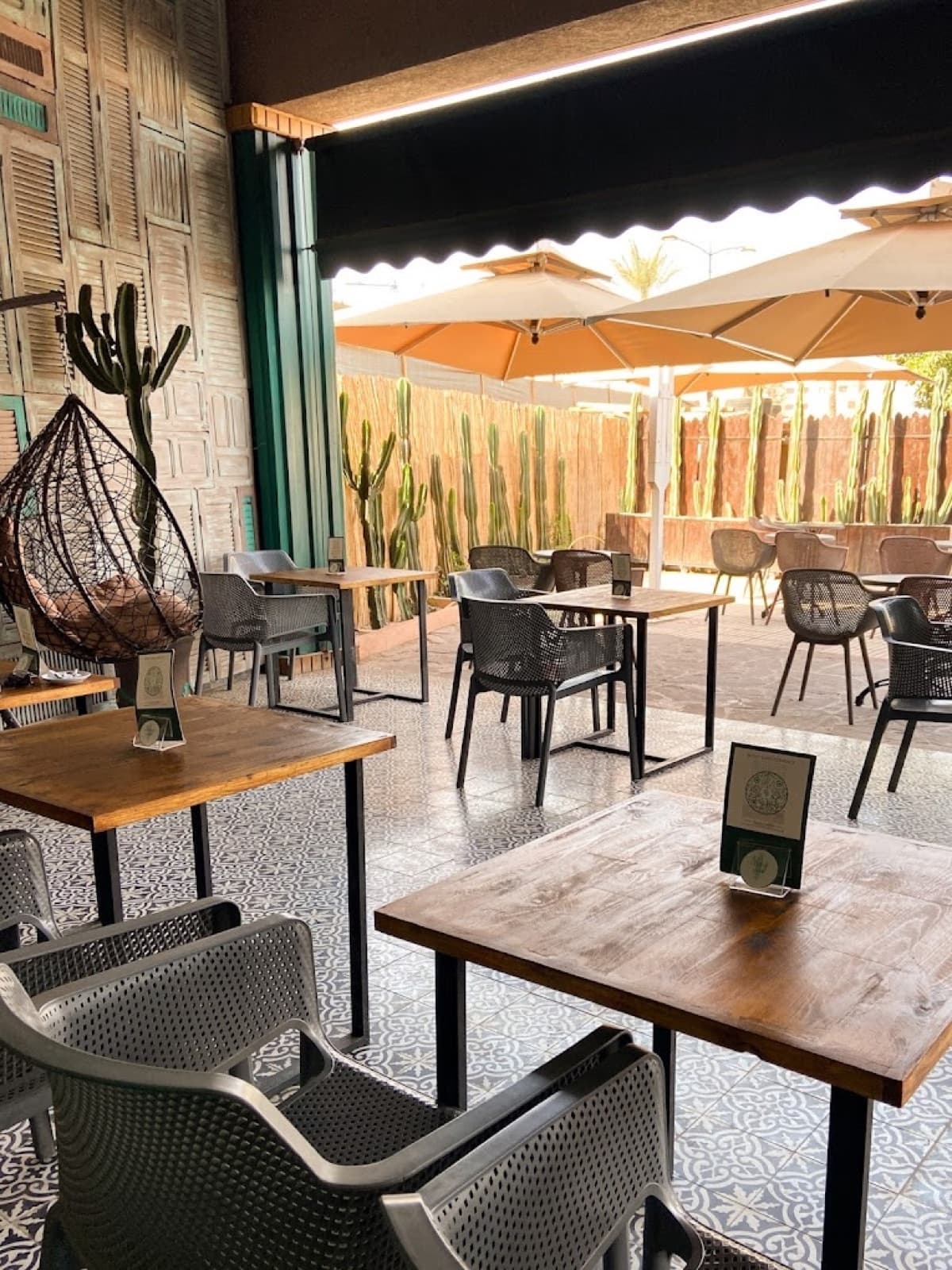 Cactus café