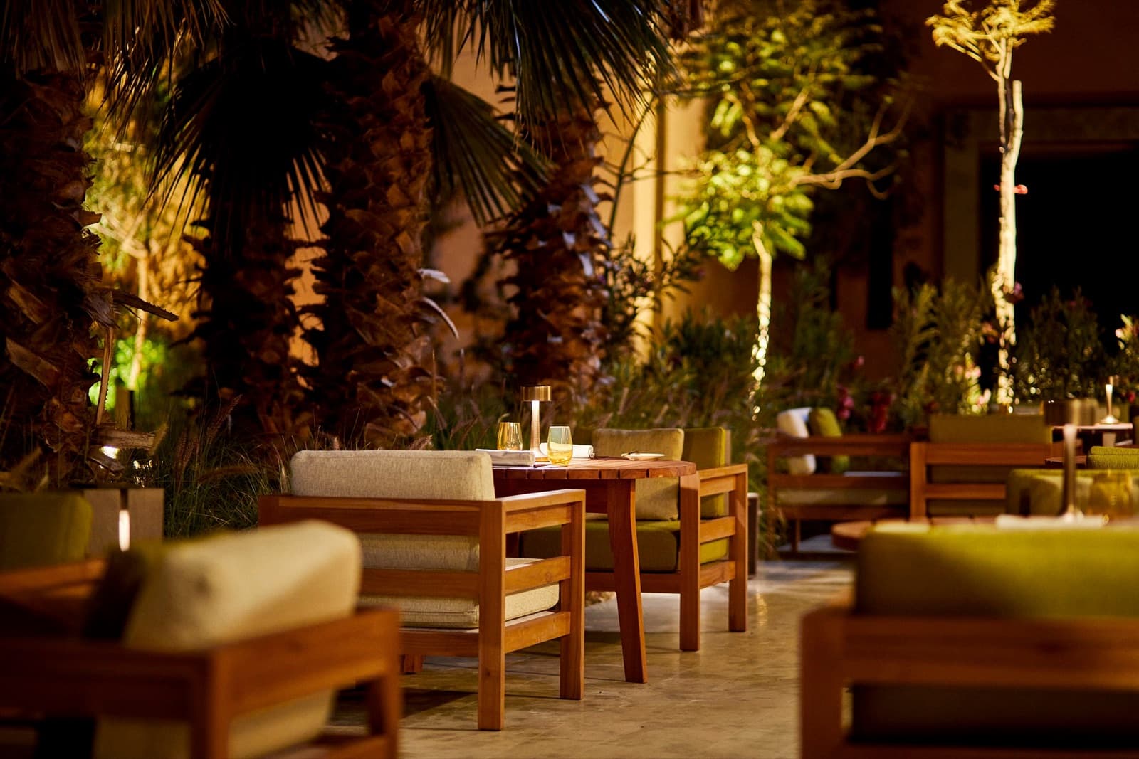 TFAYA - brasserie arabesque